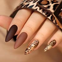 Nail Extension (Both Hands)