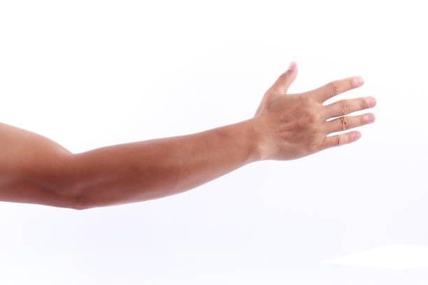 Bleach (Full Arms)